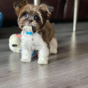 Meet your Posher, Kened